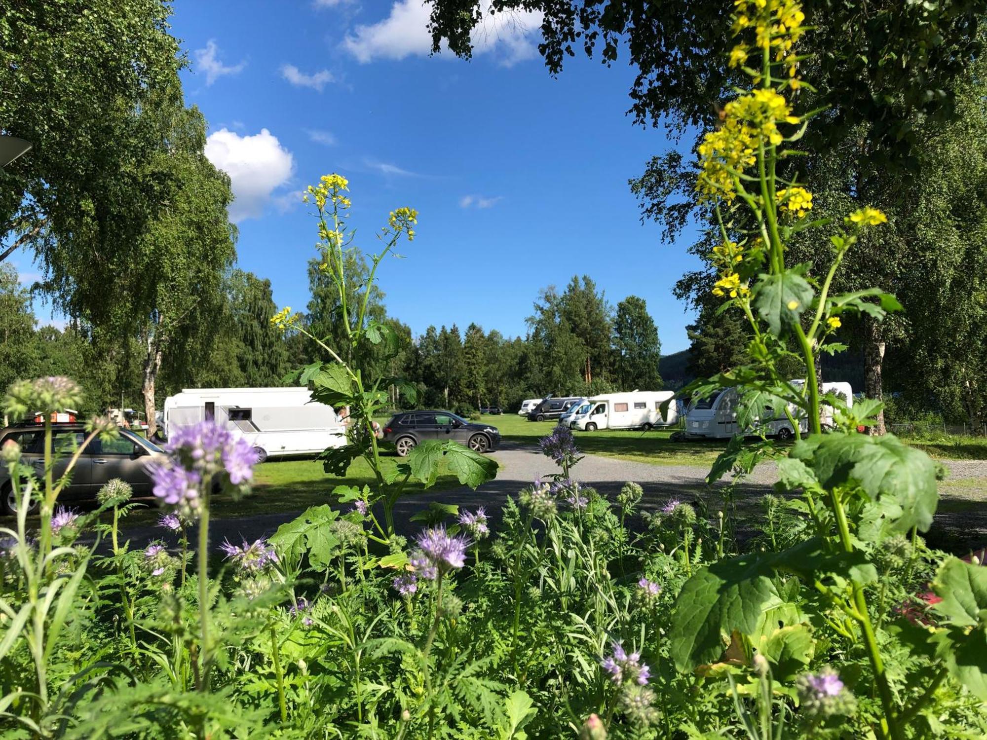 4 Persoons Stuga Hammarstrand Exterior foto